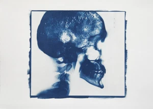 CYANOTYPE PRINT (ORIGINAL, SIGNED) - PRINT DIMENSION 380x280 mm c.a. - Foto 1 di 4