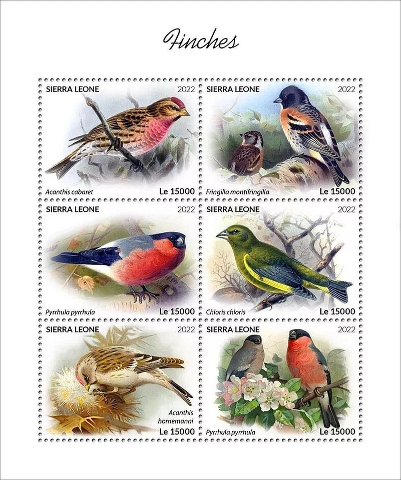 FINCHES Finch Birds/Bird MNH 6v-Stamp Sheet #2107 (2022 Sierra Leone) - Image 1 of 1