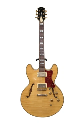 Jay Turser JT137N Deep Semi-Hollow Body Guitar - Image 1 of 4