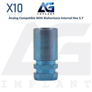 10 accesorios analógicos compatibles con laboratorio dental BioHorizons® Int Hex Ø5,7 mm - Imagen 1 de 7