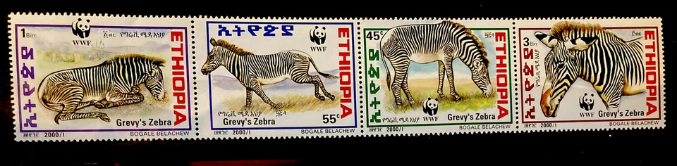 Ethiopia,zebra S.C.#1533 WWF MNH ,Complete strip of 4 as issued in 2001 - Image 1 of 1