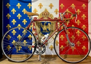 Peugeot PRN10 DeLuxe mit Simplex und Mafac Gold Gr. 56 mit 9,5 Kg - Bild 1 von 19