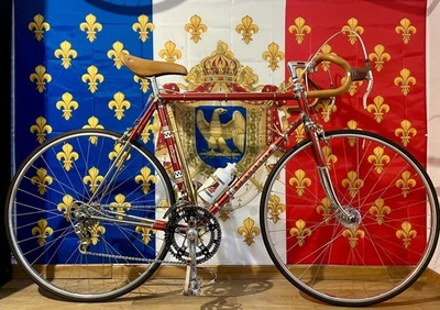 Peugeot PRN10 DeLuxe mit Simplex und Mafac Gold Gr. 56 mit 9,5 Kg - Bild 1 von 4