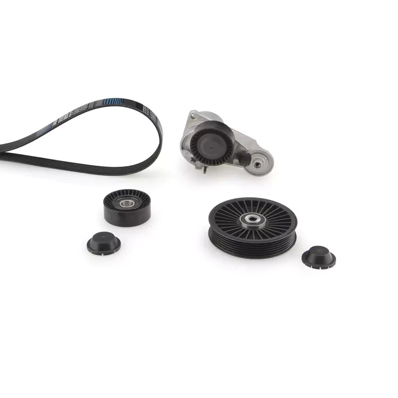 Kit Cinghie Poly-V GATES K036DPK1825 VOLVO V70 D5 - Immagine 1 di 1