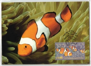Juego de 4 maxi tarjetas Australian Impressions 2004 - Imagen 1 de 1
