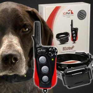 Dogtra iQ PLUS Remote Small Dog Training E Collar Expandable to 2 Dog System