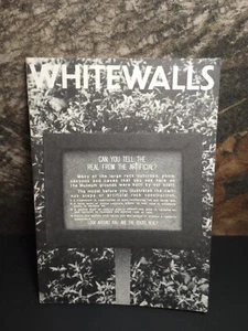 Whitewall A Journal Of Language And Art #24 Winter 1990VG - Bild 1 von 17