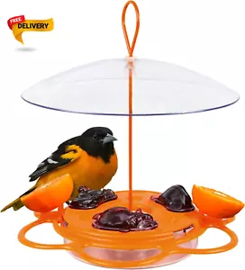 OFP1 All-In-One Oriole Buffet Bird Feeder Orange - Picture 1 of 12