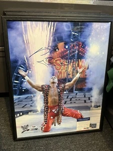 shawn michaels signed 16x20 photo WWE autograph - Picture 1 of 2