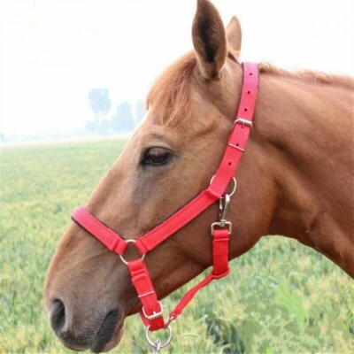 Nylon Headcollar Horse Halter Adjustable Field Safe Pony Cob Full All Sizes - image 1 of 4