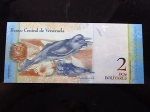 Venezuela 2 Bolivares 2012 unc 7769h90 Orinoco River Dolphins Central Bank Money - Bild 1 von 2