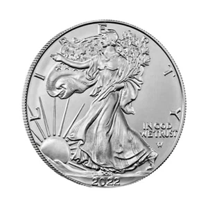 American Silver Eagle 2022 $1 1 oz BU - Imagen 1 de 1