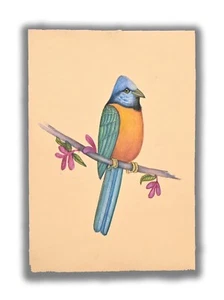 Guacamayo Loro Pájaro Pintura Miniatura Hecha a Mano sobre Papel 9 X 6 pulgadas "PN13191" - Imagen 1 de 5