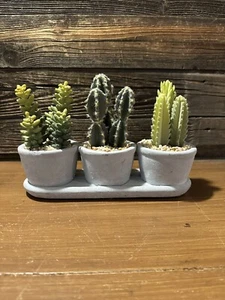 Tres suculentas de imitación en maceta de hormigón piedra grava una pieza - Imagen 1 de 5