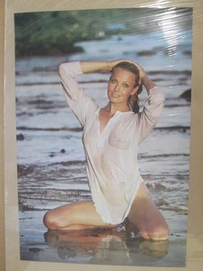 vintage Bo Derek Poster Hot girl car garage Man Cave original 22814 - Picture 1 of 5