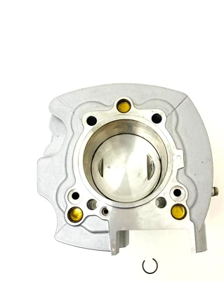 CILINDRO DUCATI MONSTER 900 SUPERSPORT 900 VERTICALE COMPLETO CYLINDER 12020481A - Immagine 1 di 4