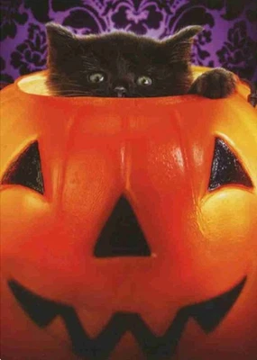 "¡Un poco BOO de mí a ti!" TARJETA AVANTI HALLOWEEN Gatito en Candy Bucket Foto 1 de 2