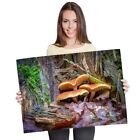 A1 - Autumn Mushrooms Treet Stump Forest 60X90cm180gsm Print  #44184