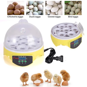 7 Eggs Incubator Digital Chicken Hatching Machine Temperature Control Hatcher US - Picture 1 of 8
