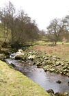 Photo 6x4 How Stean Beck The footpath from Stean towards High Riggs cross c2009