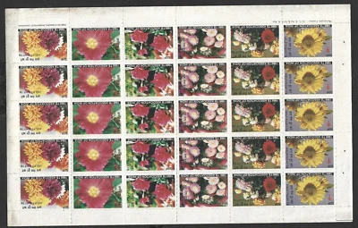 (BL) INDIA 1988 Medicine Label TB ASSOCIATION 50p HELP FIGHT TB  Se-tenant Sheet Foto 1 de 2