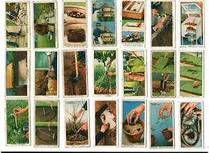 Wills 1938 tobacco cards lot -- Garden Hints -- incomplete set (35 of 50 cards) - Picture 1 of 4