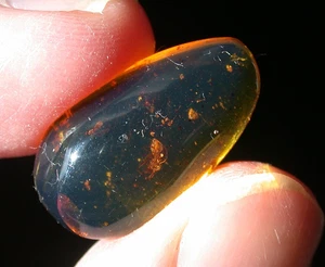 Bellissimo fossile di ambra birmana blu cielo con ragno e mosca dell'età dei dinosauri - Foto 1 di 14