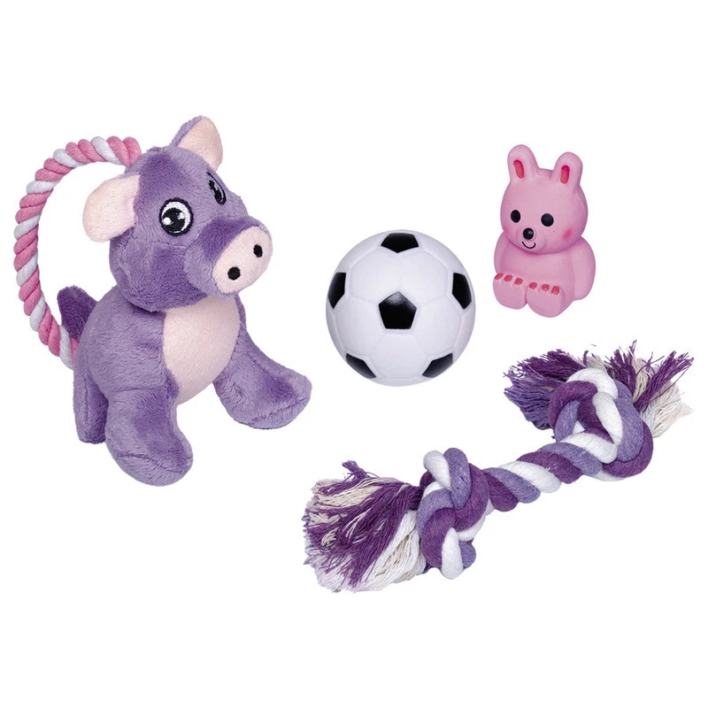 Nobby Puppy Starter Set - 4-teiliges Spielzeug für Welpen, Knotenseil & mehr - Bild 1 von 1