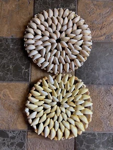Set Of Two SEA SHELL TRIVET 6" IN DIAMETER Nautical Beach House Decor - Picture 1 of 8