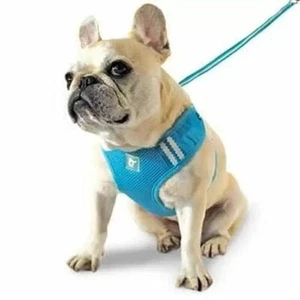 Dogo EasyGo Harness Leash - Blue XS X Small - Picture 1 of 4