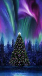 23" Fabric Panel | Timeless Treasures Christmas Tree Winter Light Aurora - Picture 1 of 1