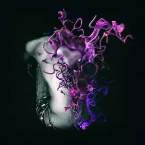 Nuel - Fantasia (LP) - Picture 1 of 1