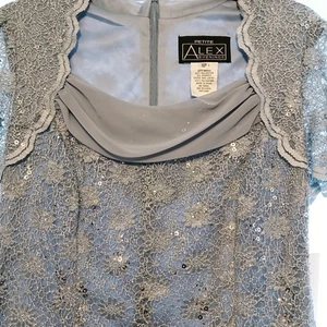 Alex Evenings Petite Hydrongea verziertes Kleid Größe 10P neu mit Etikett - Bild 1 von 4