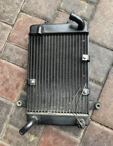 Radiatore Acqua Suzuki Burgman AN 250 400 98/99/00 - Imagen 1 de 8