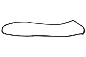 Right Front Door Weatherstrip Rubber Seal suitable for Landcruiser 75 Series Ute - Foto 1 di 3