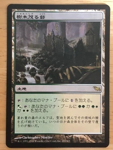Wooded Bastion Japanese Shadowmoor mtg MP - Picture 1 of 1