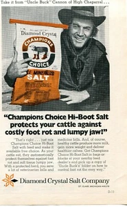 1972 Print Ad of Champion Choice Salt Feed w Uncle Buck Cannon Cameron Mitchell - Picture 1 of 2