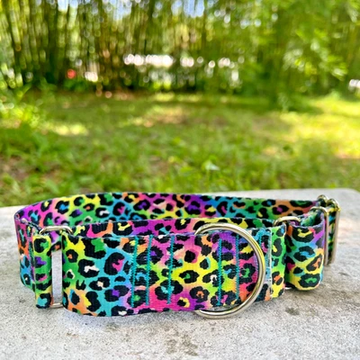 1.5" Wide Martingale Dog Collar - Colorful Neon Leopard Greyhound Whippet Collar - Image 1 of 4