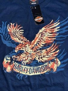 Black Hills Harley Davidson®2011 Rapid City SD Flaming Eagle Mens Sm - Picture 1 of 3