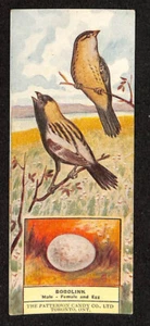 V75 Patterson Candy, Patterson's Bird Cards, #28 Bobolink With Coupon - Picture 1 of 2
