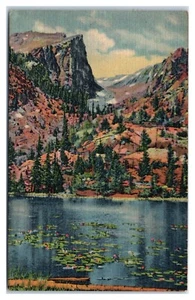 Nymphe Lilypad Lake & Hallett Peak Rocky Mountain Nationalpark CO um 1940 Postkarte - Bild 1 von 2