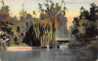 Los Angeles California~Eastlake Park~Weeping Willow Tree~Bridge~1911 Postcard