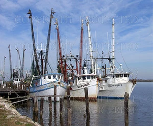 Apalachicola FL, foto de pesca de barcos camarones, ¡ELECCIÓN! 5x7 o solicitar imágenes en CD - Imagen 1 de 3