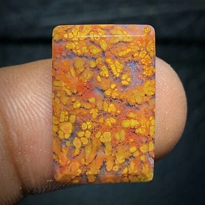 Ágata Pluma Natural 20x13x4mm Cabujón Alta Calidad 13 ct Foto 1 de 4