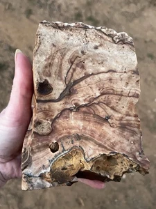 Imagen lapidaria de jaspe azul Biggs de 3,12 lb en bruto de Biggs, Oregon - Imagen 1 de 6