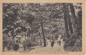 Cartolina d'epoca - BOGNANCO - VERBANIA Viale Fonti - Imagen 1 de 1