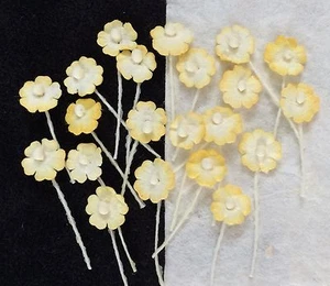 100 gelb weiße Blumen Handarbeit Maulbeere Papier Puppe Hüte Miniaturen Verzierung - Bild 1 von 6