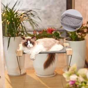 Cat Window Perch + Plush Bed, Hammock All Around 360° Sunbath and Lower Support - Picture 1 of 22