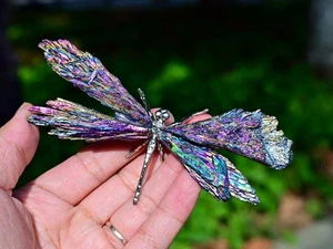 1,8 Zoll geschnitzte natürliche Elektroplatte Turmalin Libelle Reiki Dekor Heilung Geschenk 1 Stck. - Bild 1 von 8