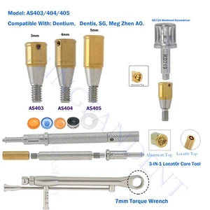 Destornillador dental llave dinamométrica tapa macho implante localizador pilar para dentis/AS - Imagen 1 de 116